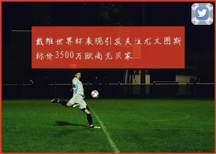 戴维世界杯表现引发关注尤文图斯标价3500万欧尚无买家