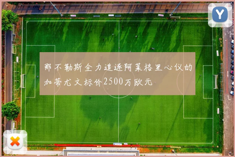 那不勒斯全力追逐阿莱格里心仪的加蒂尤文标价2500万欧元