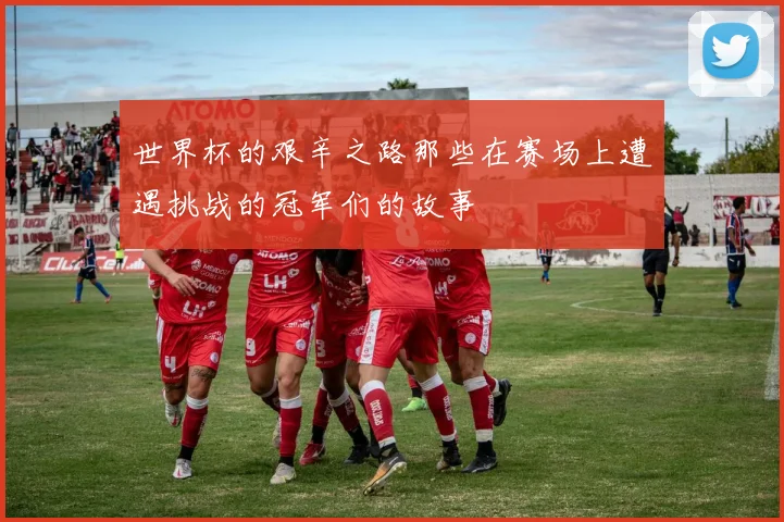 世界杯的艰辛之路那些在赛场上遭遇挑战的冠军们的故事