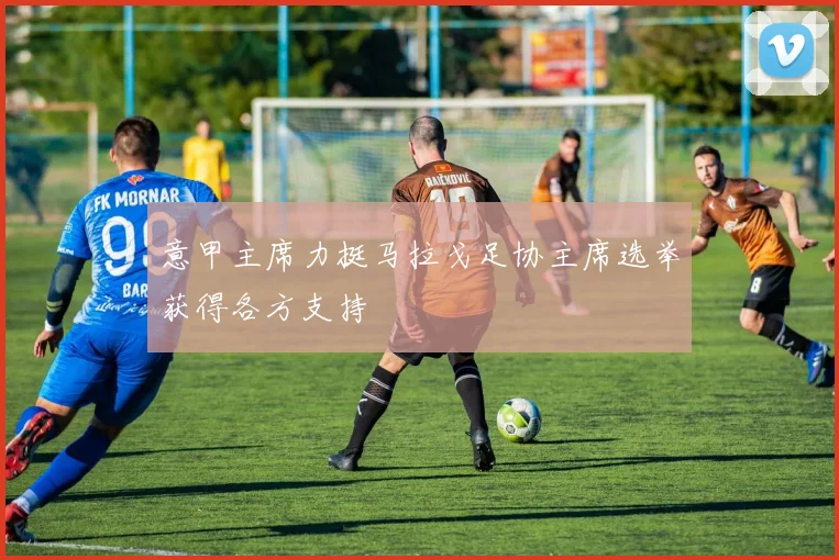 意甲主席力挺马拉戈足协主席选举获得各方支持