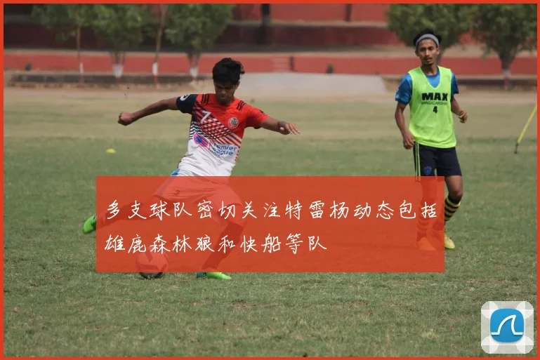 多支球队密切关注特雷杨动态包括雄鹿森林狼和快船等队